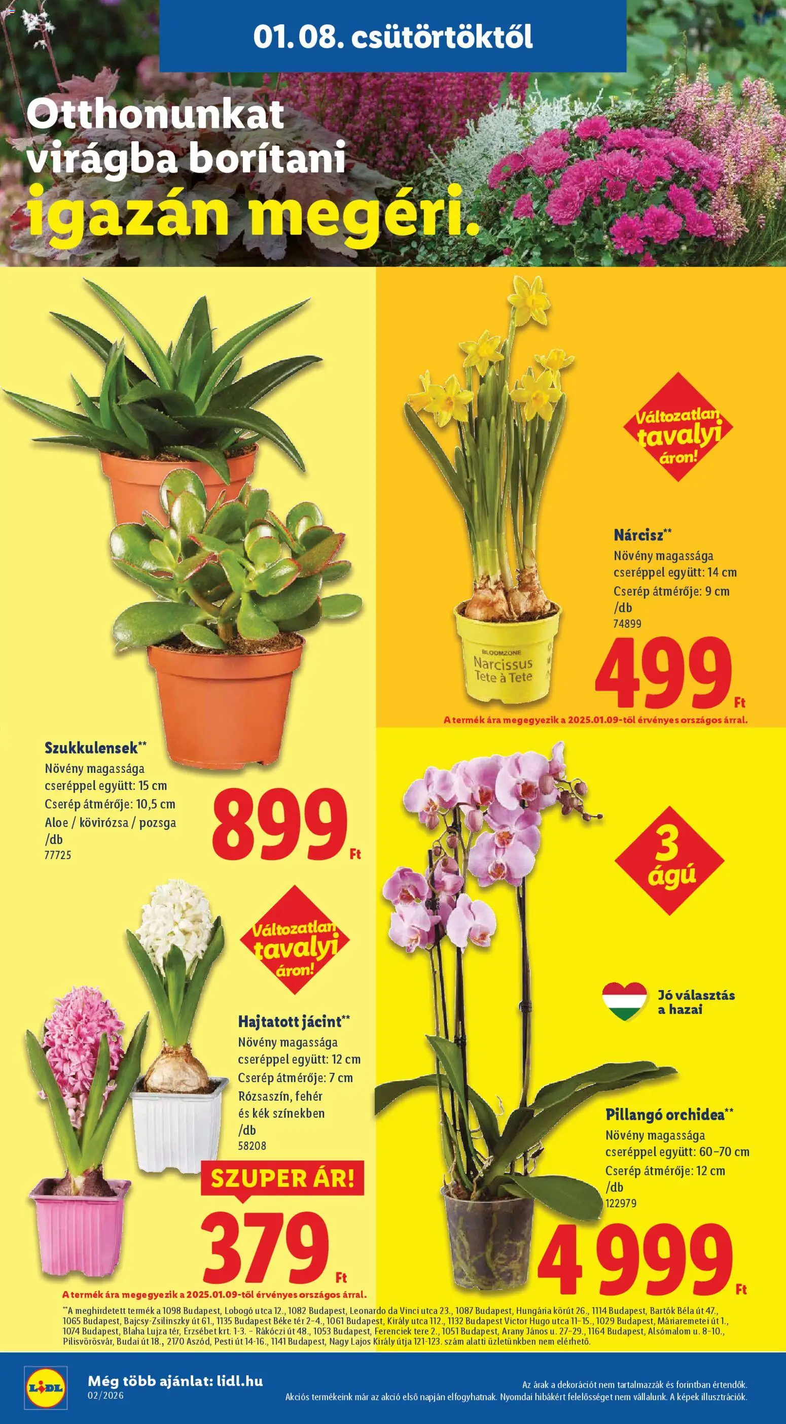 Lidl akciós ujság - amely érvényes a következő dátumtól: 08.01.2026 | Oldal: 24