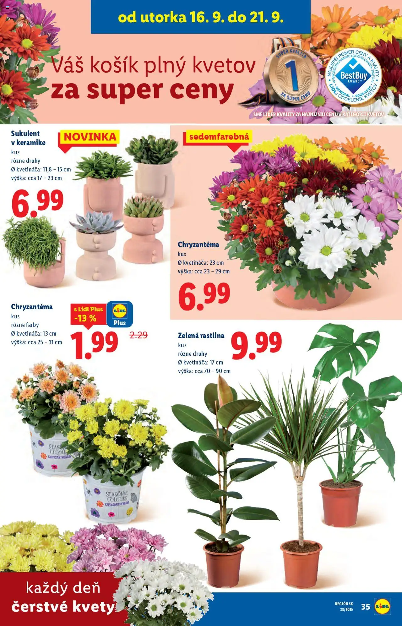 Nové Lidl akcie – leták je platný od 16.09.2025 | Strana: 50 | Produkty: Kvety