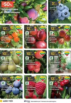 MOKI VEŽI leidinys galioja nuo 02.04.2026 | Puslapis: 2 | Prekių: Vazonas