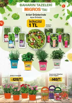 16.04.2026 tarihinden itibaren geçerli olan Migros kataloğu önizlemesi | Sayfa: 19