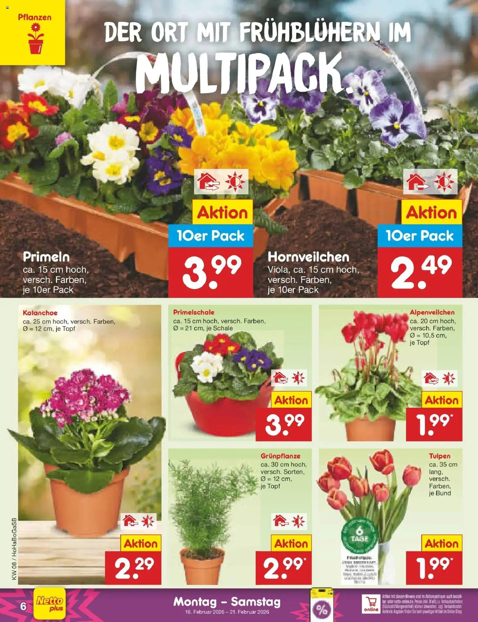 Netto Marken-Discount prospekt Stadtlohn	 – gültig ab 16.02.2026 | Seite: 6