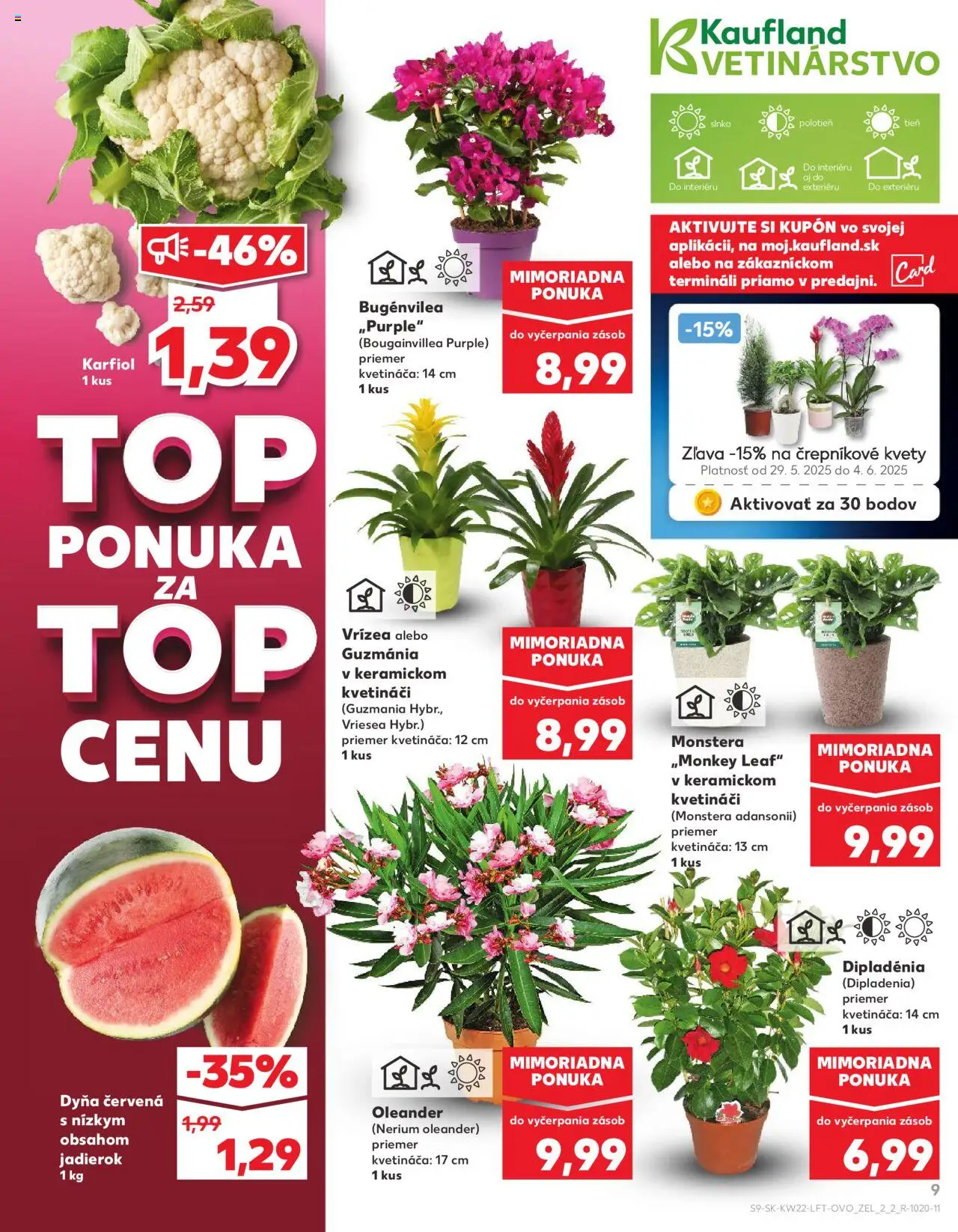 Nové Kaufland akcie – leták je platný od 29.05.2025 | Strana: 9 | Produkty: Karfiol, Kvety