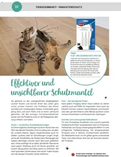 zookauf Themenkatalog Katze ab 01.10.2025 gültig | Seite: 32