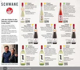Edeka Struve Wein– und Spirituosen ab 14.11.2025 gültig | Seite: 36 | Produkte: Weißwein, Rosewein, Äpfel, Lachs