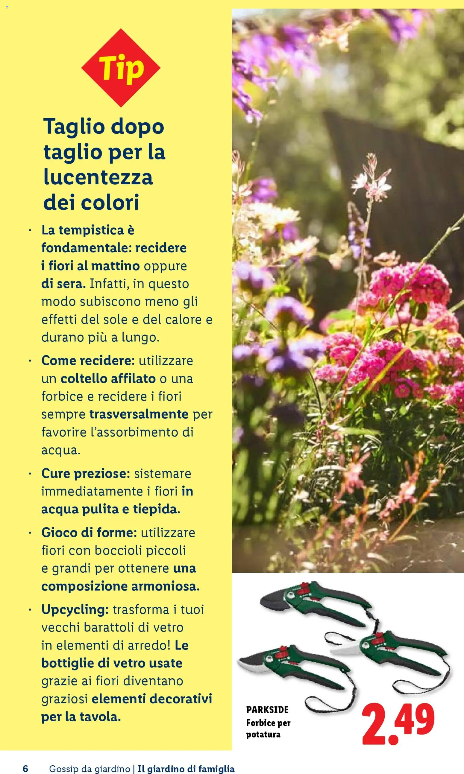 Volantino Lidl del 23.04.2026 | Pagina: 6 | Prodotti: Acqua, Forbice, Gioco, Barattoli