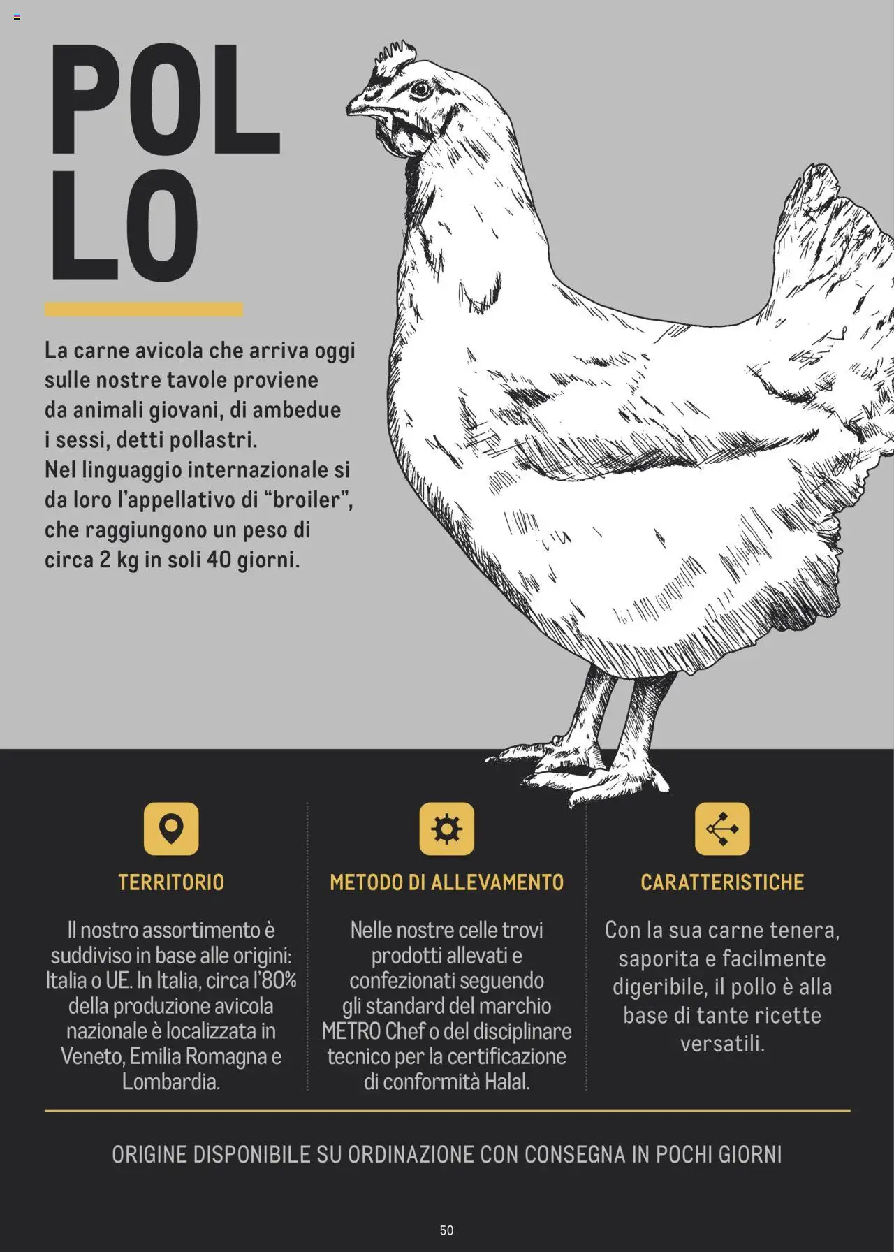 Volantino Metro del 02.07.2024 | Pagina: 50 | Prodotti: Pollo, Metro