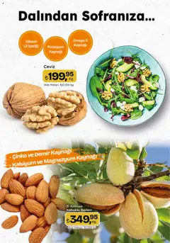 Migros Katalog - Migroskop - 07.08.2025 tarihinden itibaren geçerlidir | Sayfa: 13 | Ürünler: Badem, Ceviz