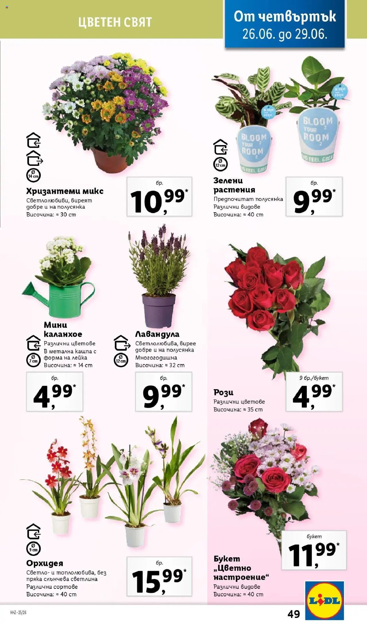  | Страница: 49 | Продукти: Кашпа, Орхидея, Лейка