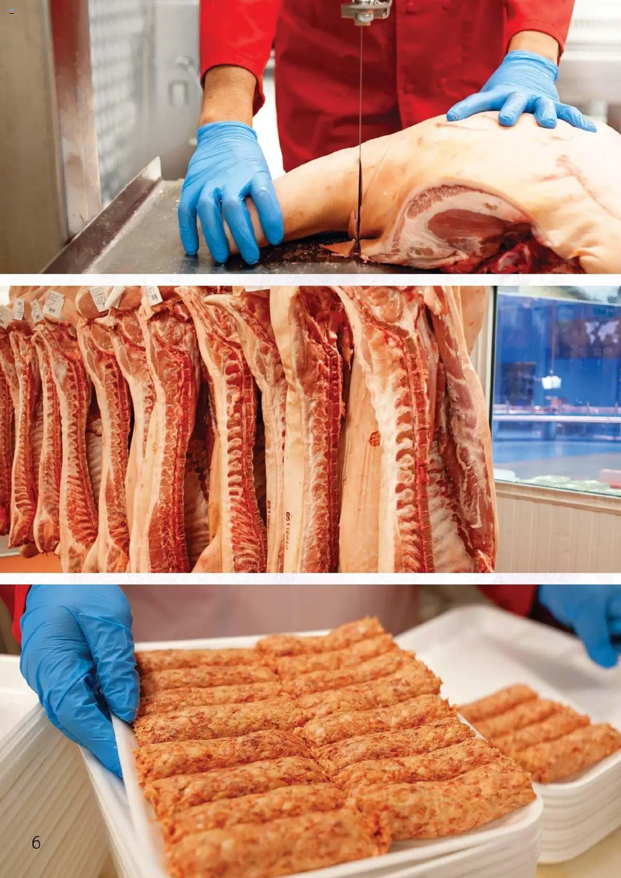 Catalog Selgros - Carne – valabil de la 27.04.2023 | Pagină: 6