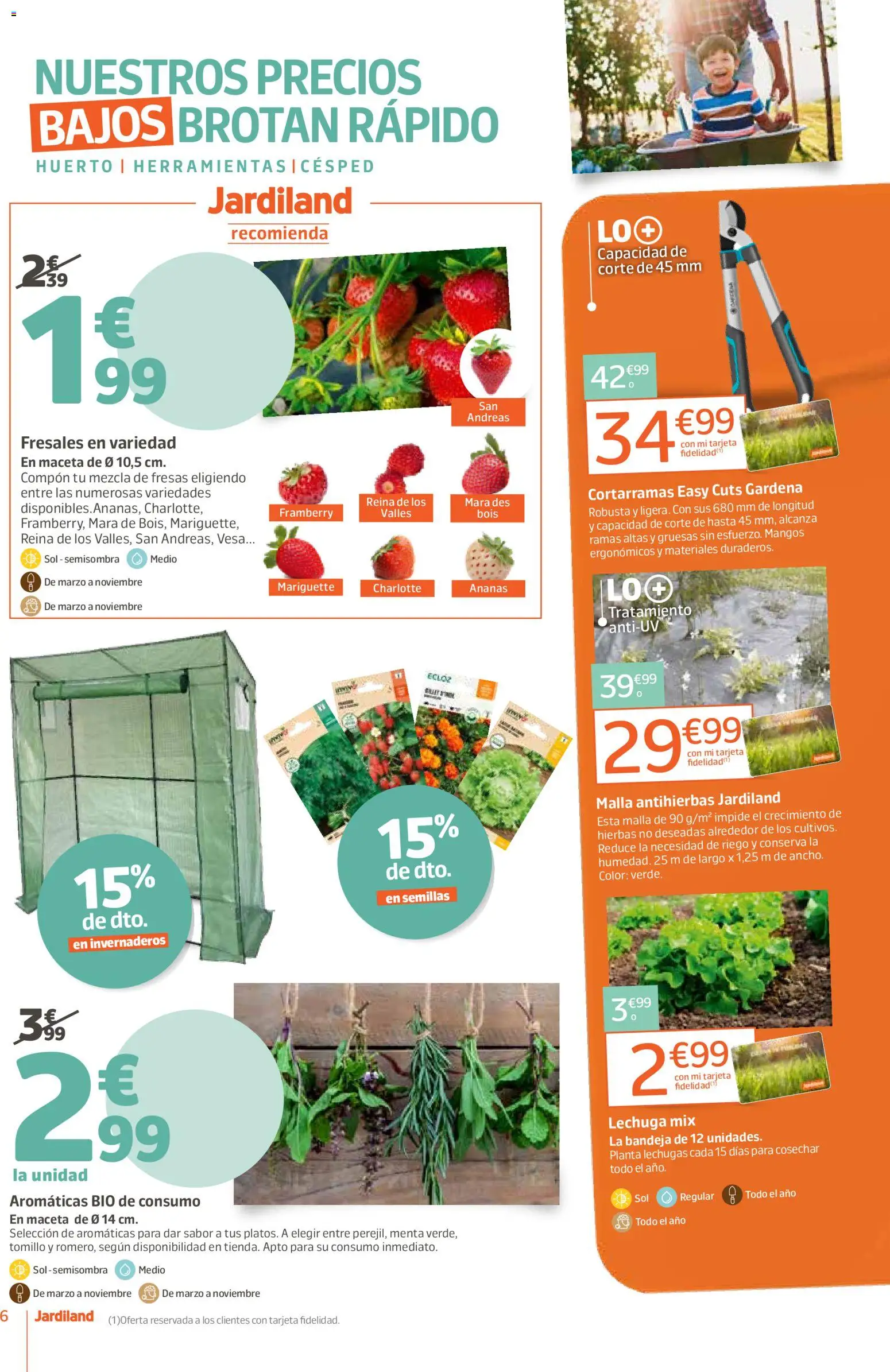 Jardiland folleto │ válido desde el 02.04.2026 | Página: 6 | Productos: Fresas, Bandeja, Maceta