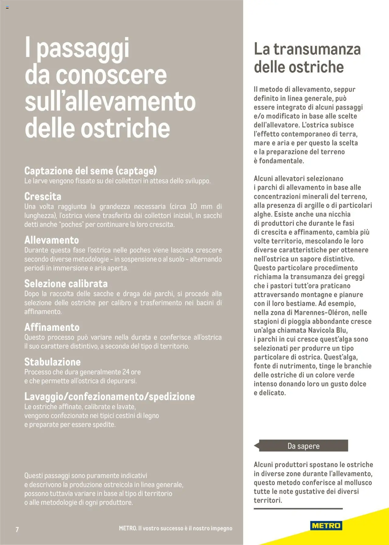 Volantino Metro del 17.06.2025 | Pagina: 7 | Prodotti: Metro