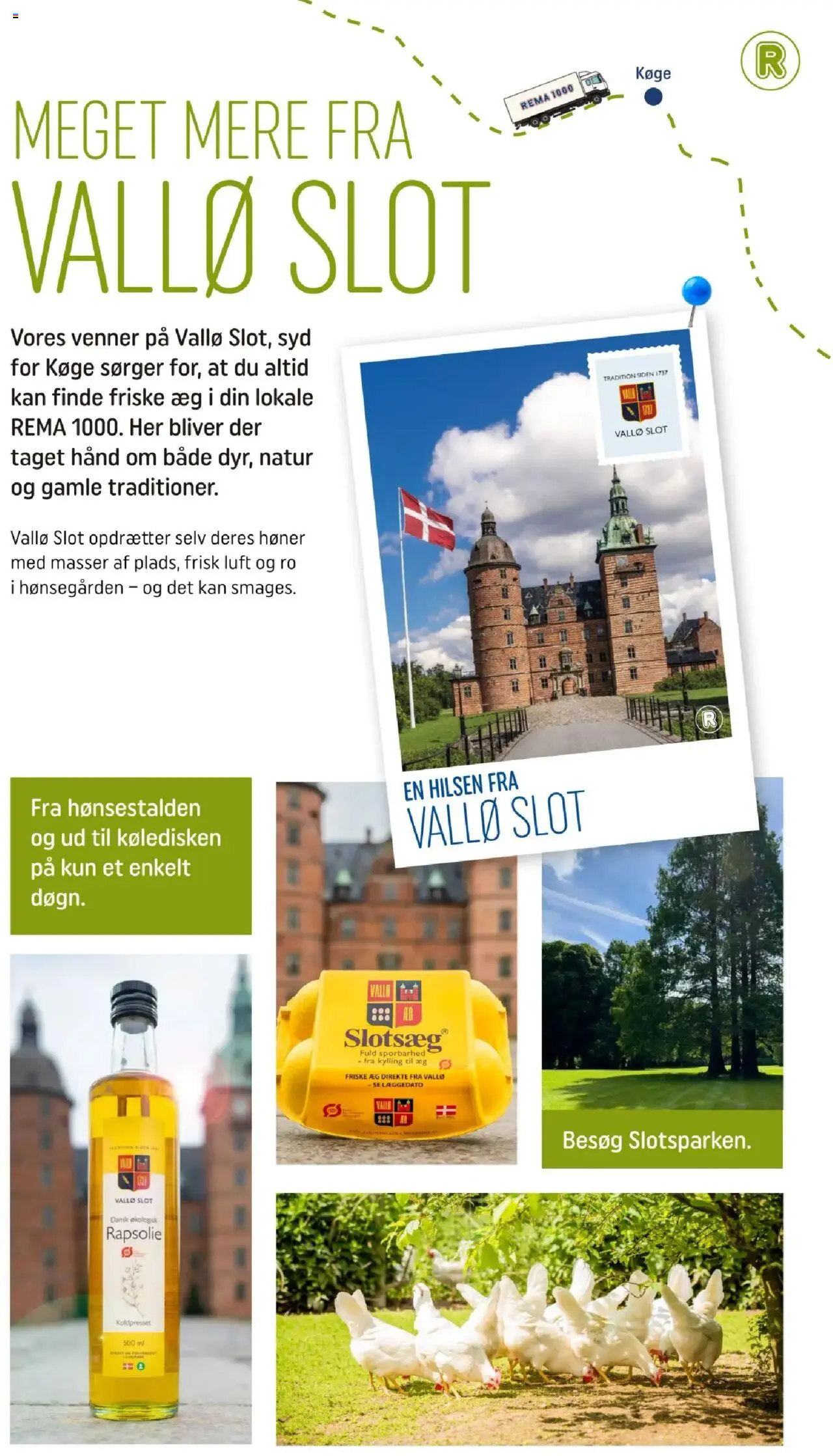 Rema 1000 Tilbudsavis gyldig fra 24.06.2025 | Side: 8 | Produkter: Æg, Rapsolie