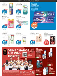 V-Markt Angebote ab 23.04.2026 gültig | Seite: 13 | Produkte: Fußball, Handcreme, Zahnbürste, Deospray