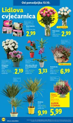 Lidl - Super ponuda - Pregled kataloga iz trgovine Lidl, vrijedi od 16.10.2025 | Stranica: 34