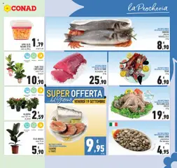 Volantino Conad del 10.09.2025 | Pagina: 5