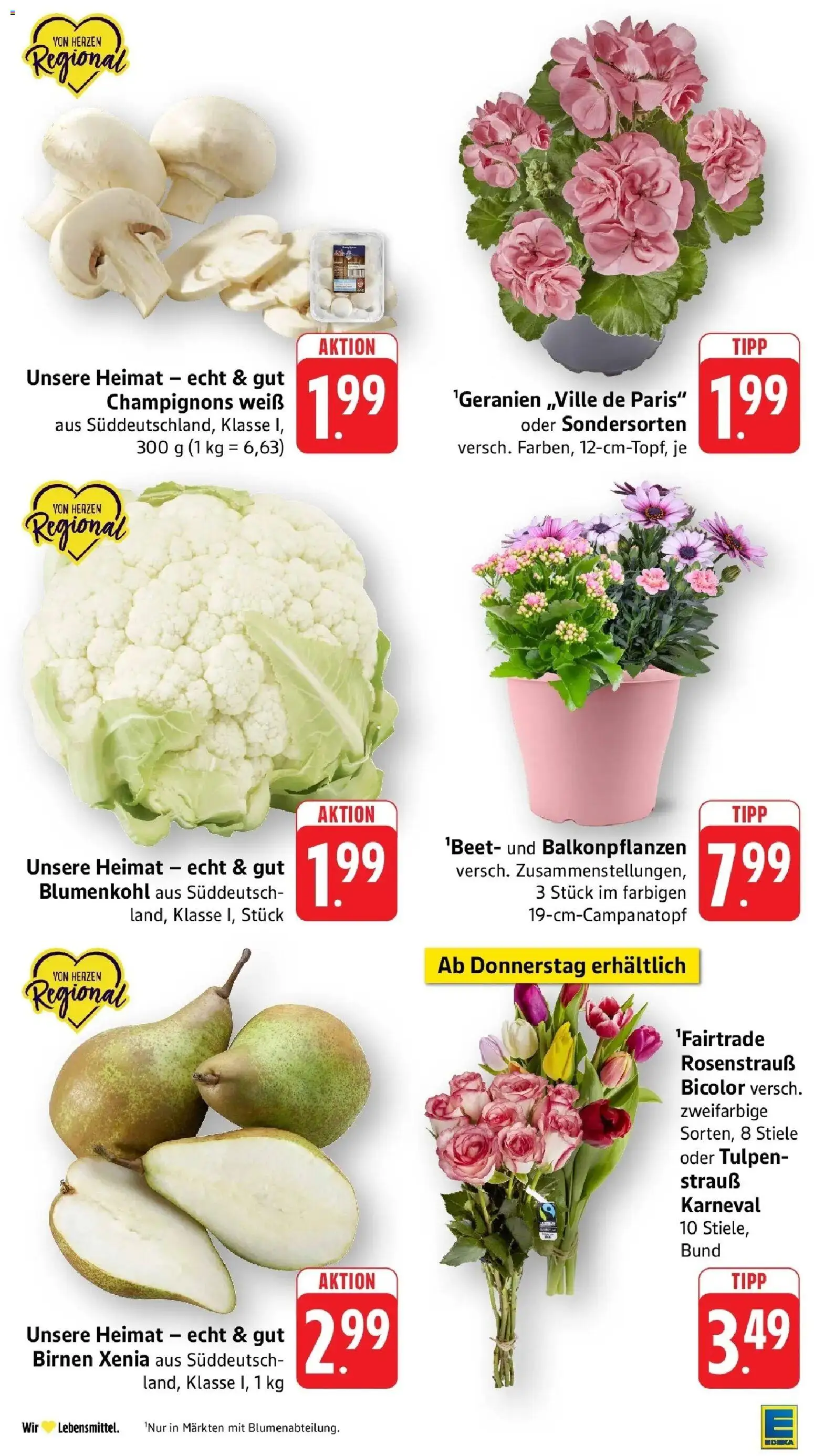 Edeka prospekt Nonnenhorn / Bodensee	 – gültig ab 19.04.2026 | Seite: 7 | Produkte: Champignons, Blumenkohl
