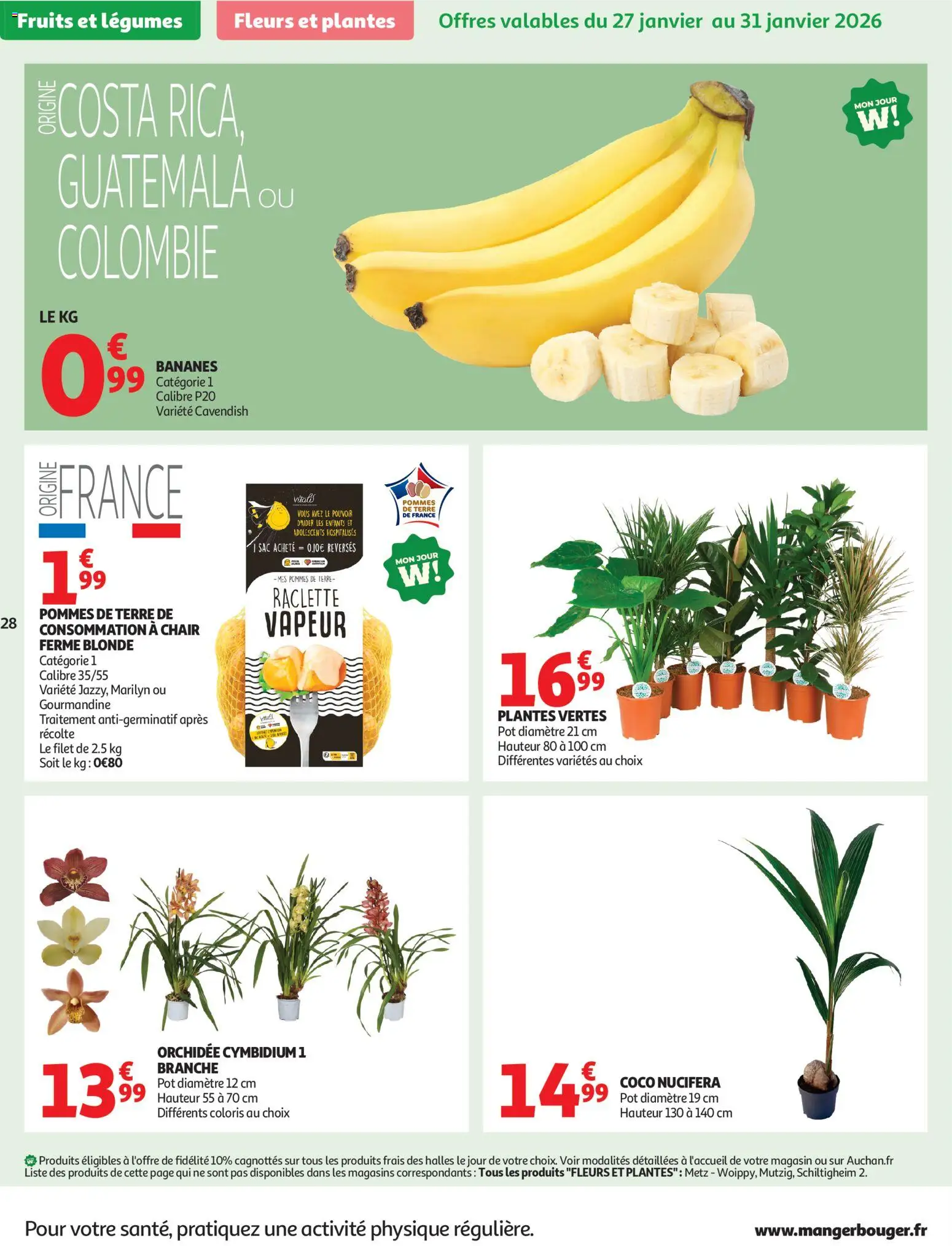 {H1} | Page: 28 | Produits: Sac, Plantes, Fleurs et plantes, Pommes de terre