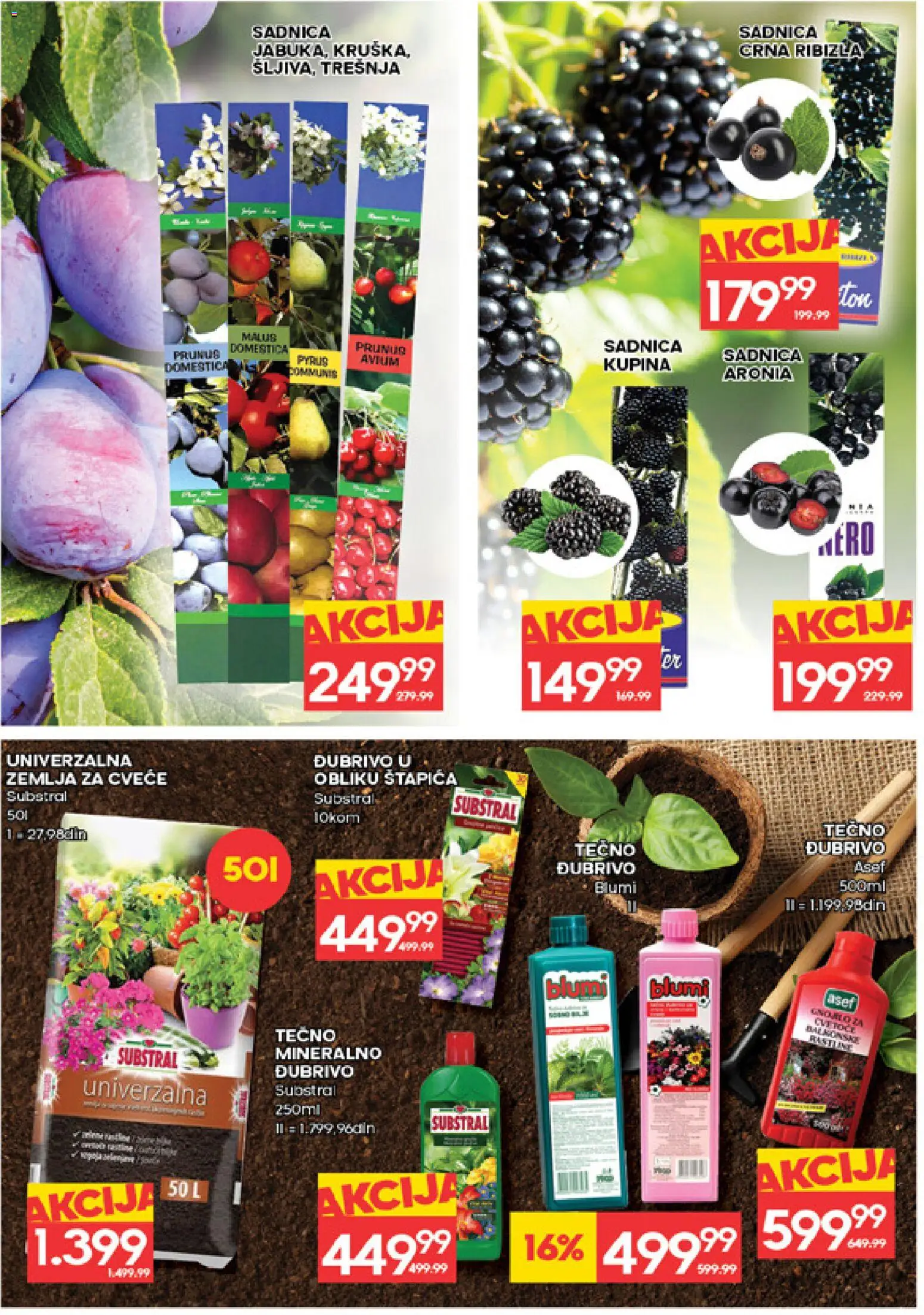 Roda katalog - važi od 12.03.2026 | Strana: 30 | Proizvode: Zemlja, Kupina, Cvece