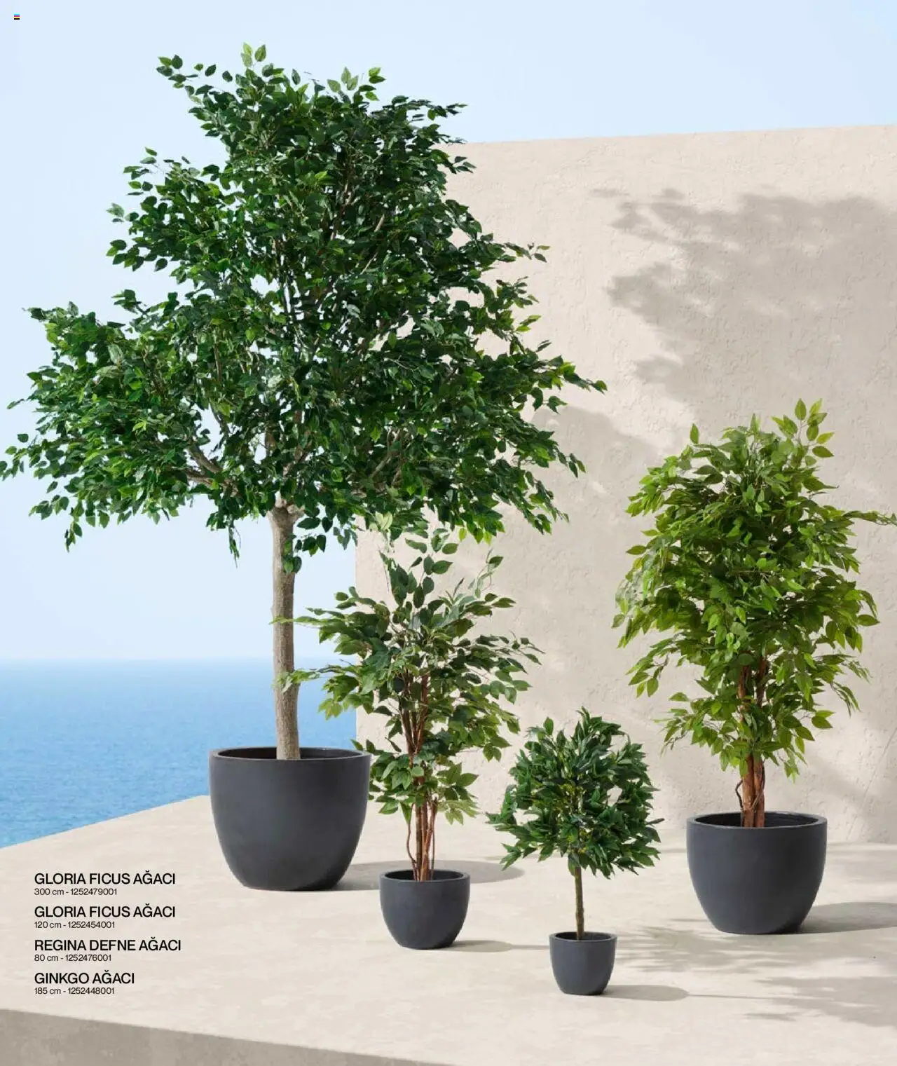 Mudo Katalog - BAHÇE 2025 - 04.06.2025 tarihinden itibaren geçerlidir | Sayfa: 152 | Ürünler: Defne