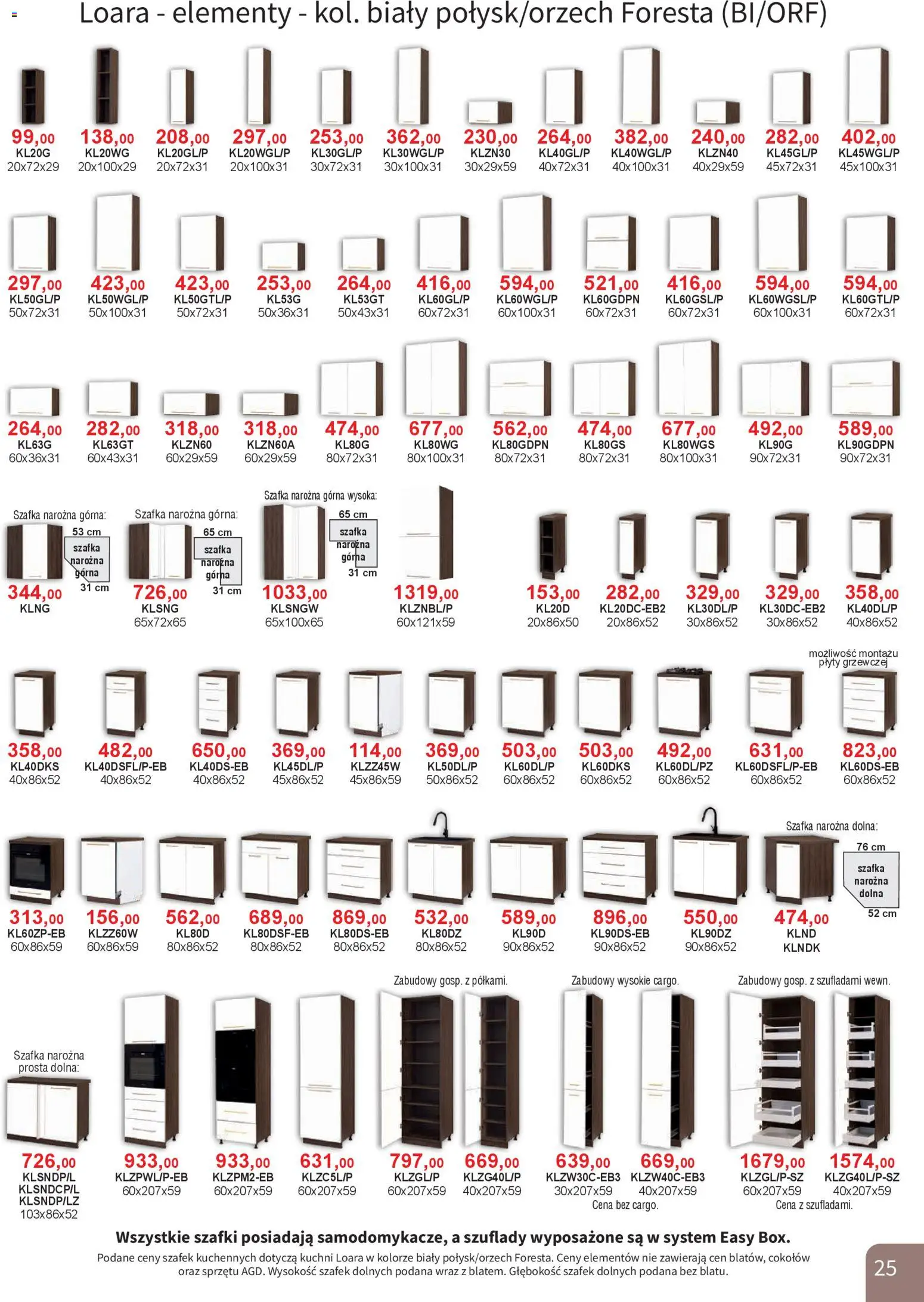 Bodzio Katalog od 01.01.2026 | Strona: 25 | Produkty: Plyty