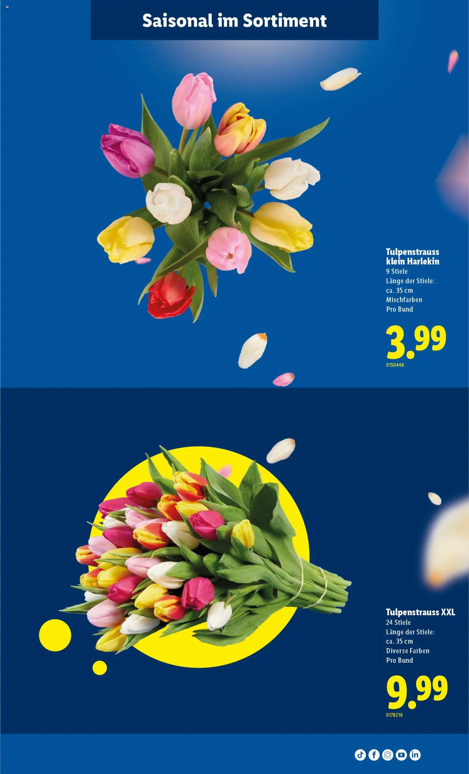 Lidl Aktionen – gültig ab 12.02.2026 | Seite: 34
