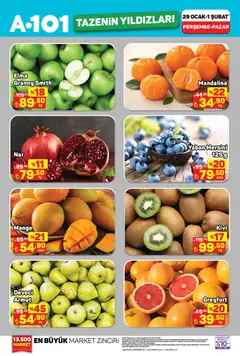 29.01.2026 tarihinden itibaren geçerli olan A101 kataloğu önizlemesi | Sayfa: 2