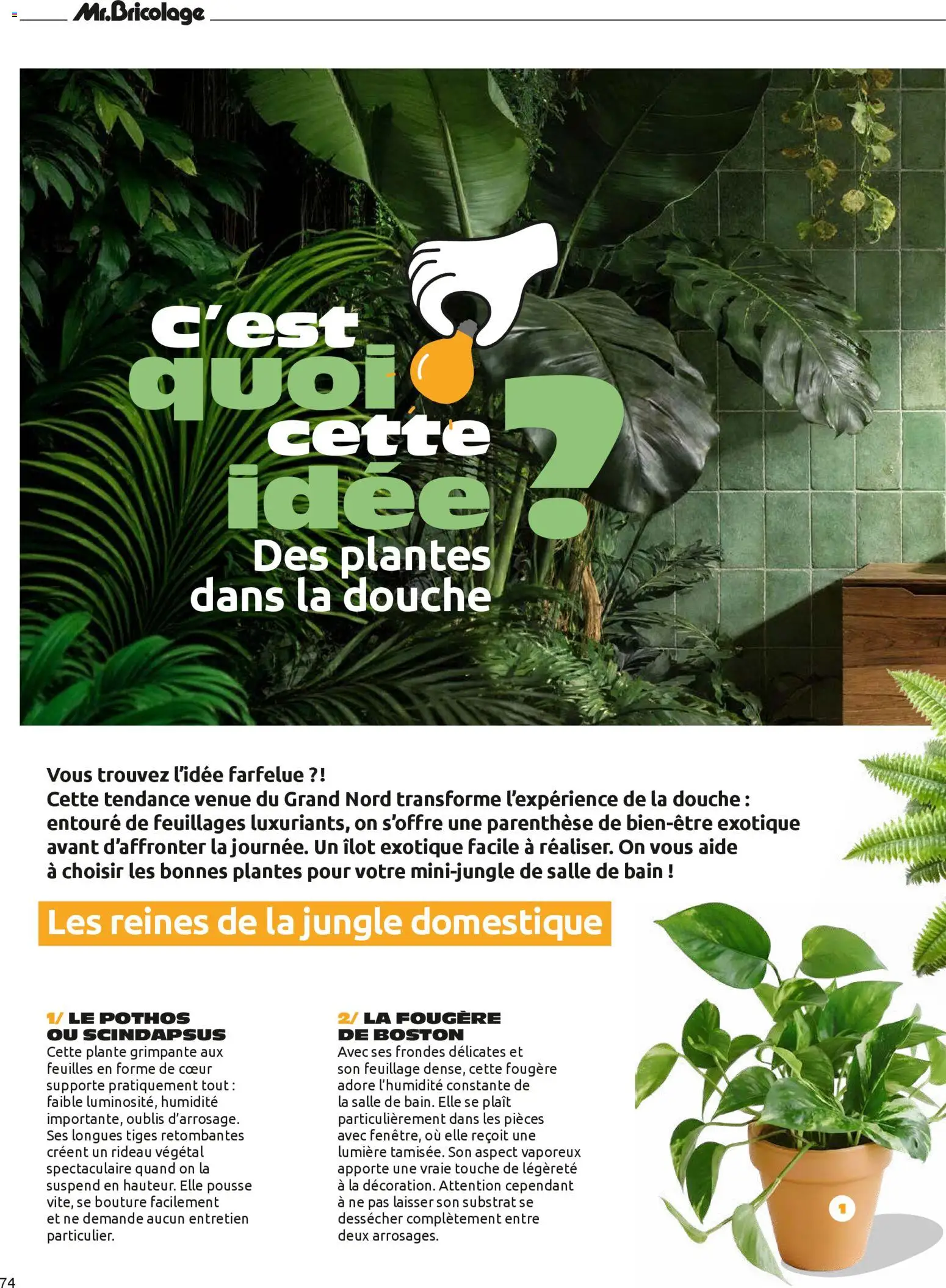 {H1} | Page: 74 | Produits: Plantes, Douche, Rideau