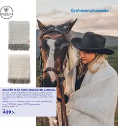 Lyreco - erbjudanden - Förhandsvisning av reklamblad från butik Lyreco aktuell från 15.12.2025 | Sida: 19 | Produkter: Pläd