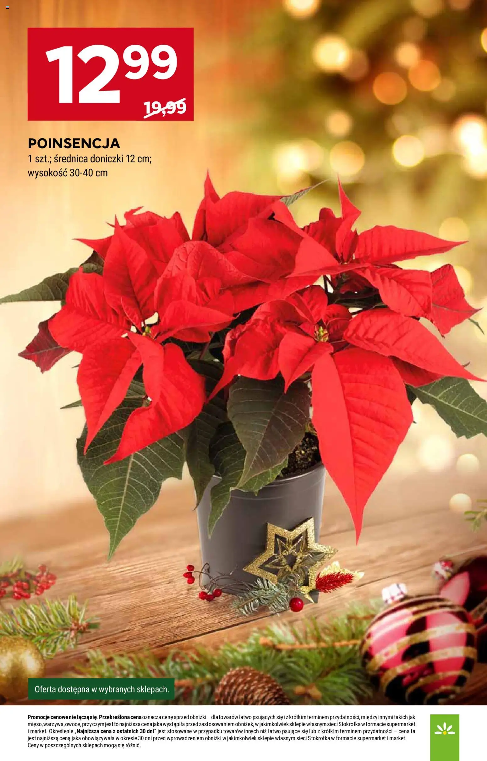 Stokrotka Gazetka - Market od 11.12.2025 | Strona: 5 | Produkty: Stokrotka, Doniczki