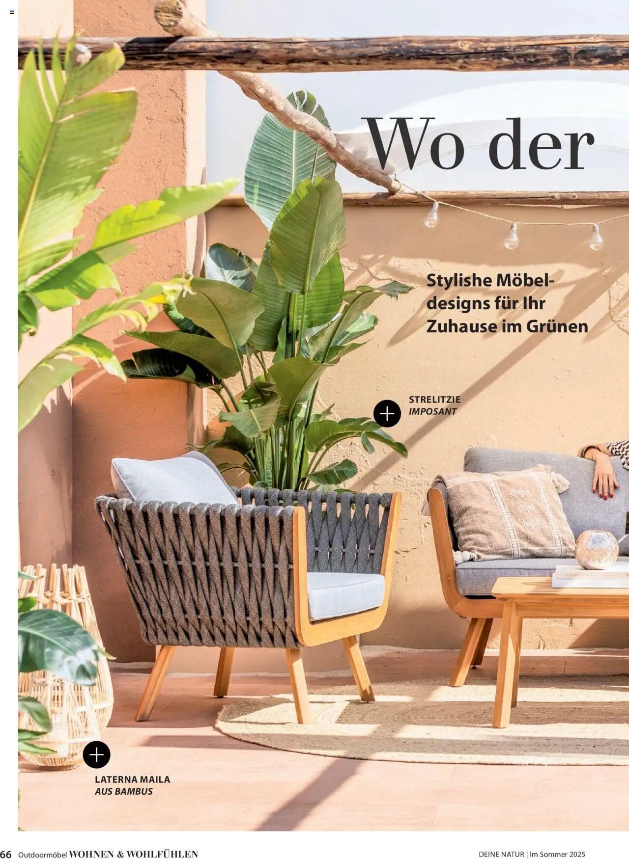 Dehner Prospekt - Deine Natur – gültig ab 23.04.2025 | Seite: 66
