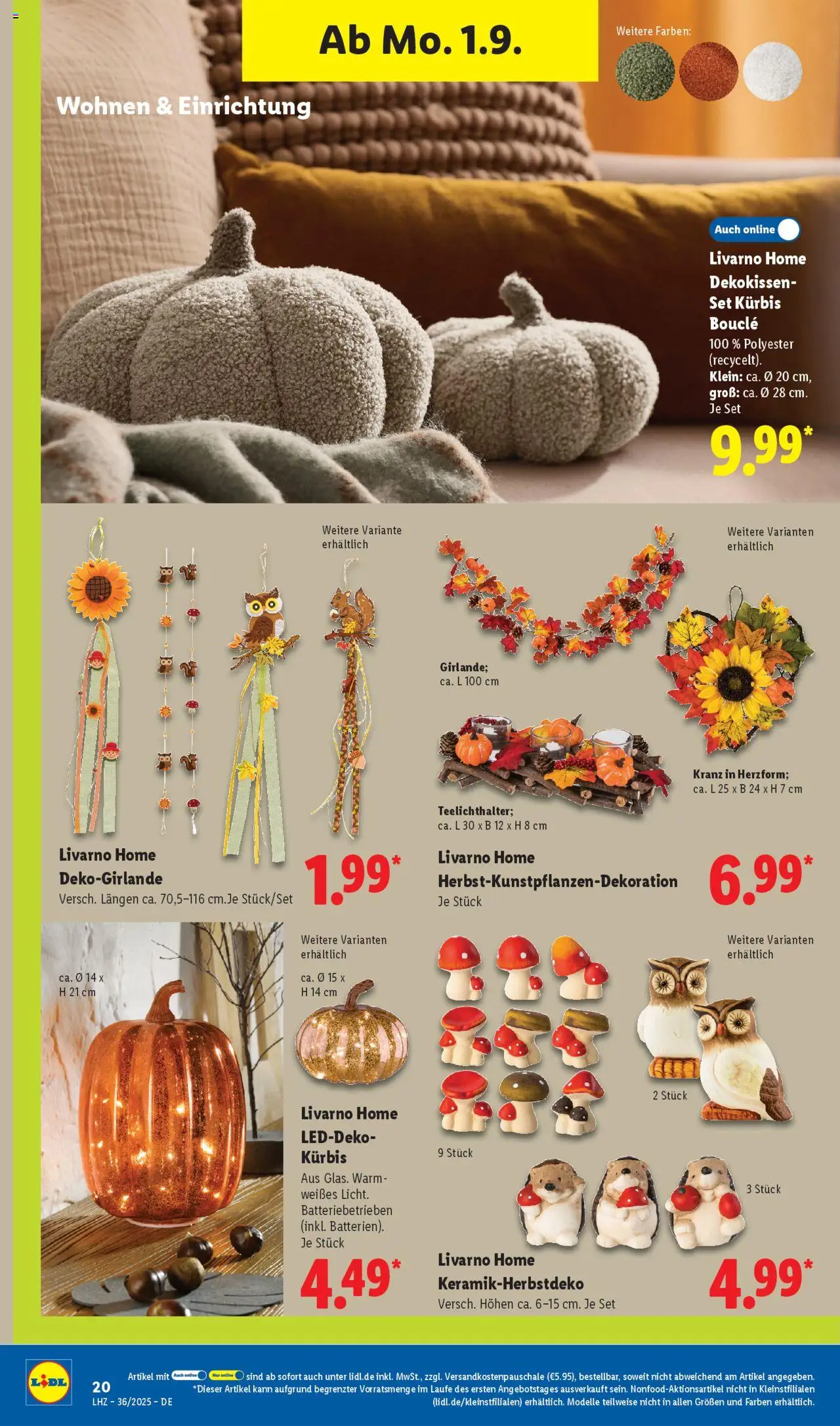 Lidl Exklusive Vorschau Uffenheim - gültig ab dem 01.09.2025 | Seite: 10 | Produkte: Kürbis