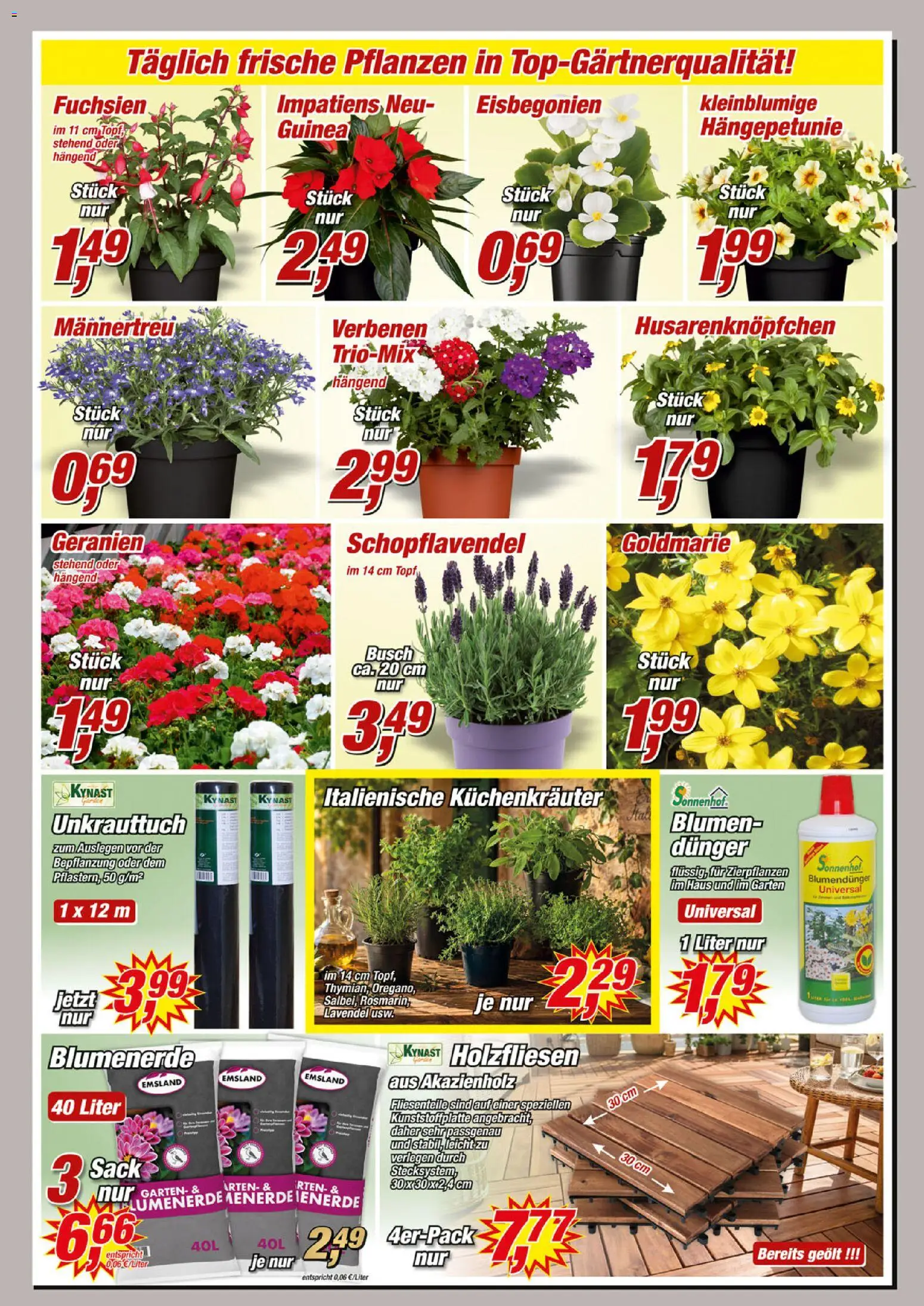 Posten Börse Prospekt 	 – gültig ab 25.04.2026 | Seite: 8 | Produkte: Blumen, Geranien, Blumenerde, Lavendel