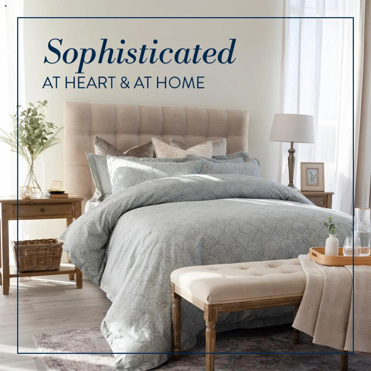 New Volpes catalogue – valid from 06.02.2026 | Page: 1