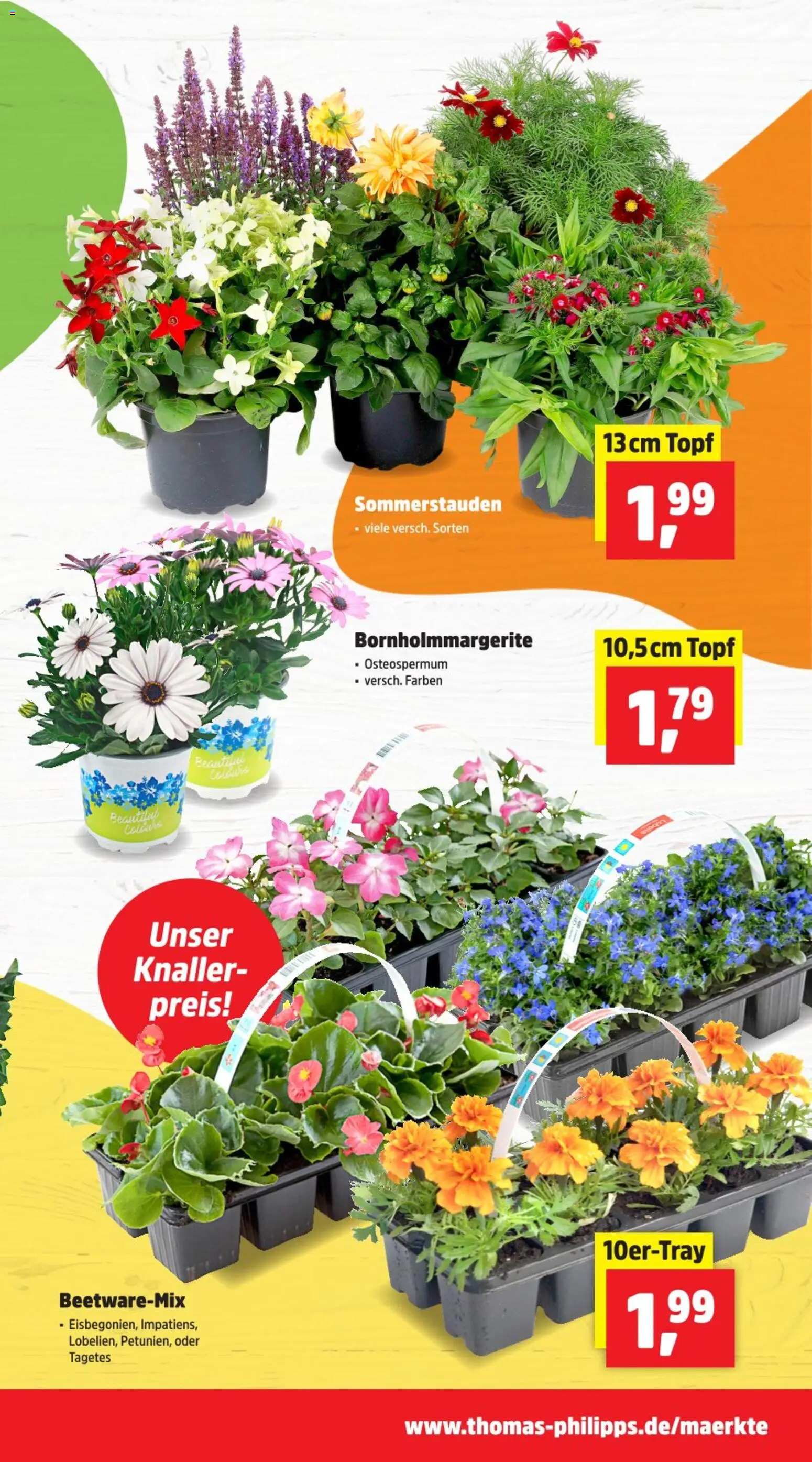 Thomas Philipps Prospekt – gültig ab 20.04.2026 | Seite: 3