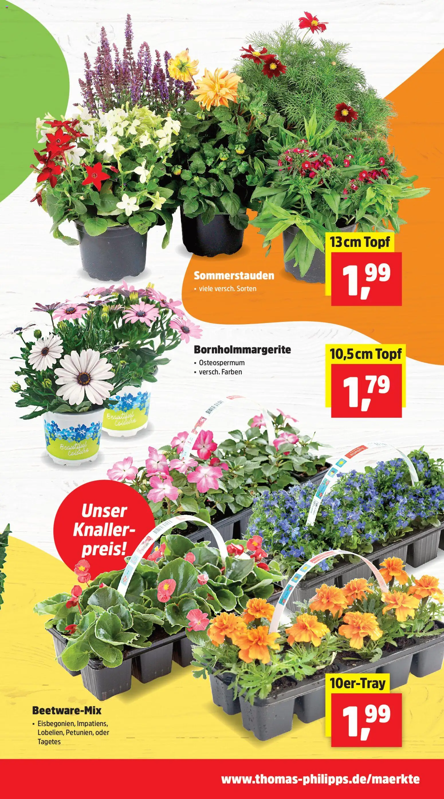 Thomas Philipps Prospekt – gültig ab 20.04.2026 | Seite: 3