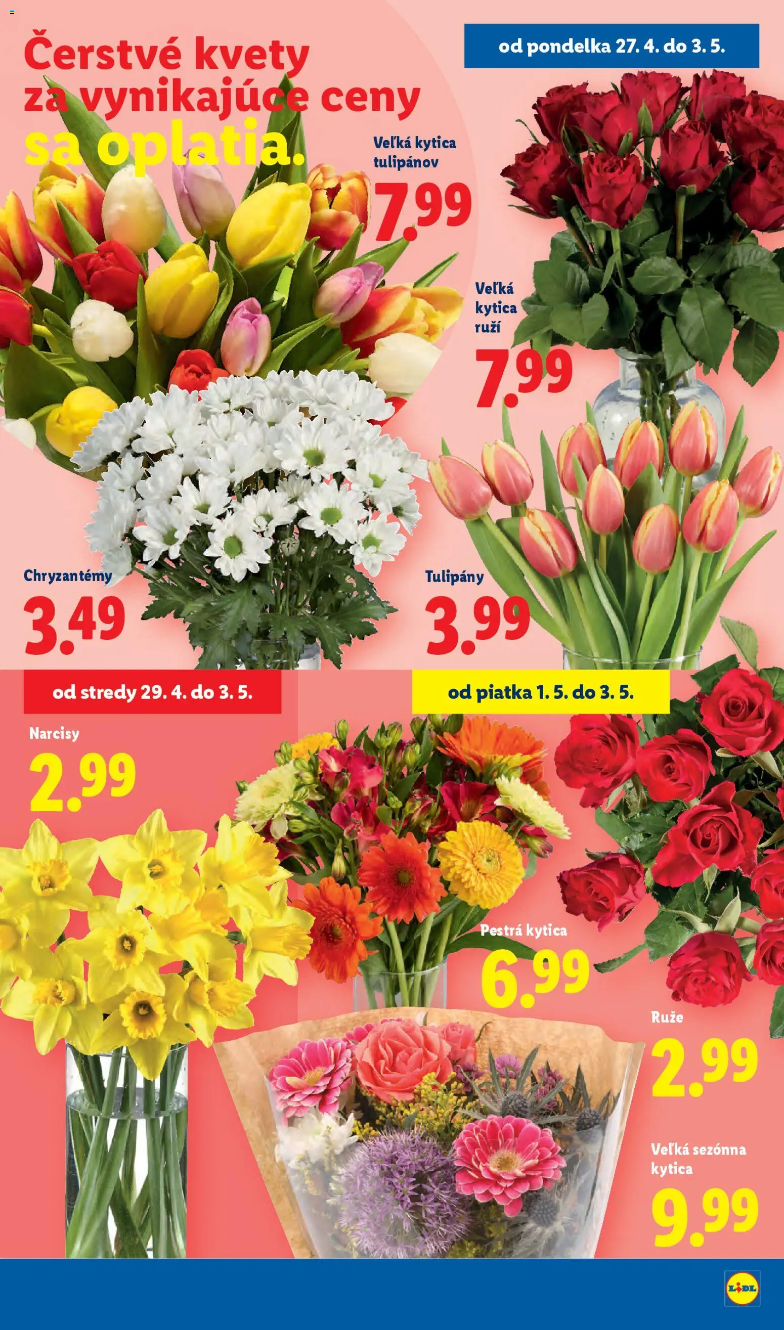 Nové Lidl akcie – leták je platný od 27.04.2026 | Strana: 43 | Produkty: Kvety, Tulipány, Ruže