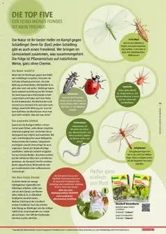 Bauhaus Reiche Ernte Magazin 2025 gültig ab 01.07.2025 | Seite: 45