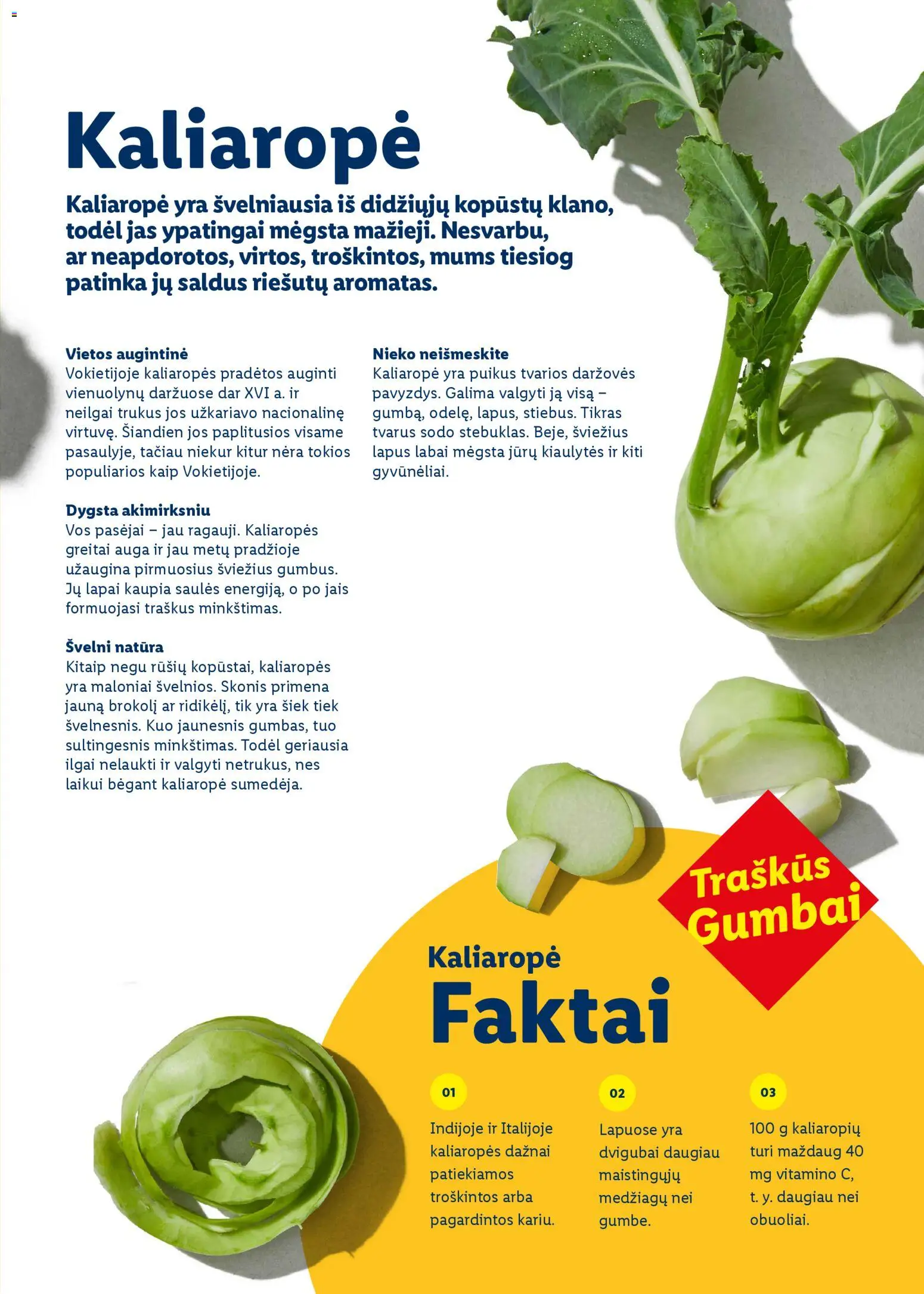 LIDL akcijos nuo 01.03.2026 | Puslapis: 77