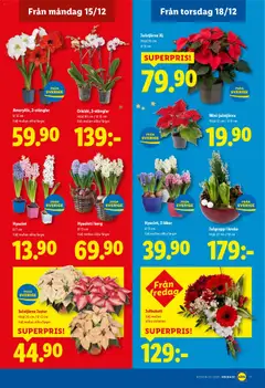 Lidl - erbjudanden - Förhandsvisning av reklamblad från butik Lidl aktuell från 15.12.2025 | Sida: 18 | Produkter: Kruka, Korg