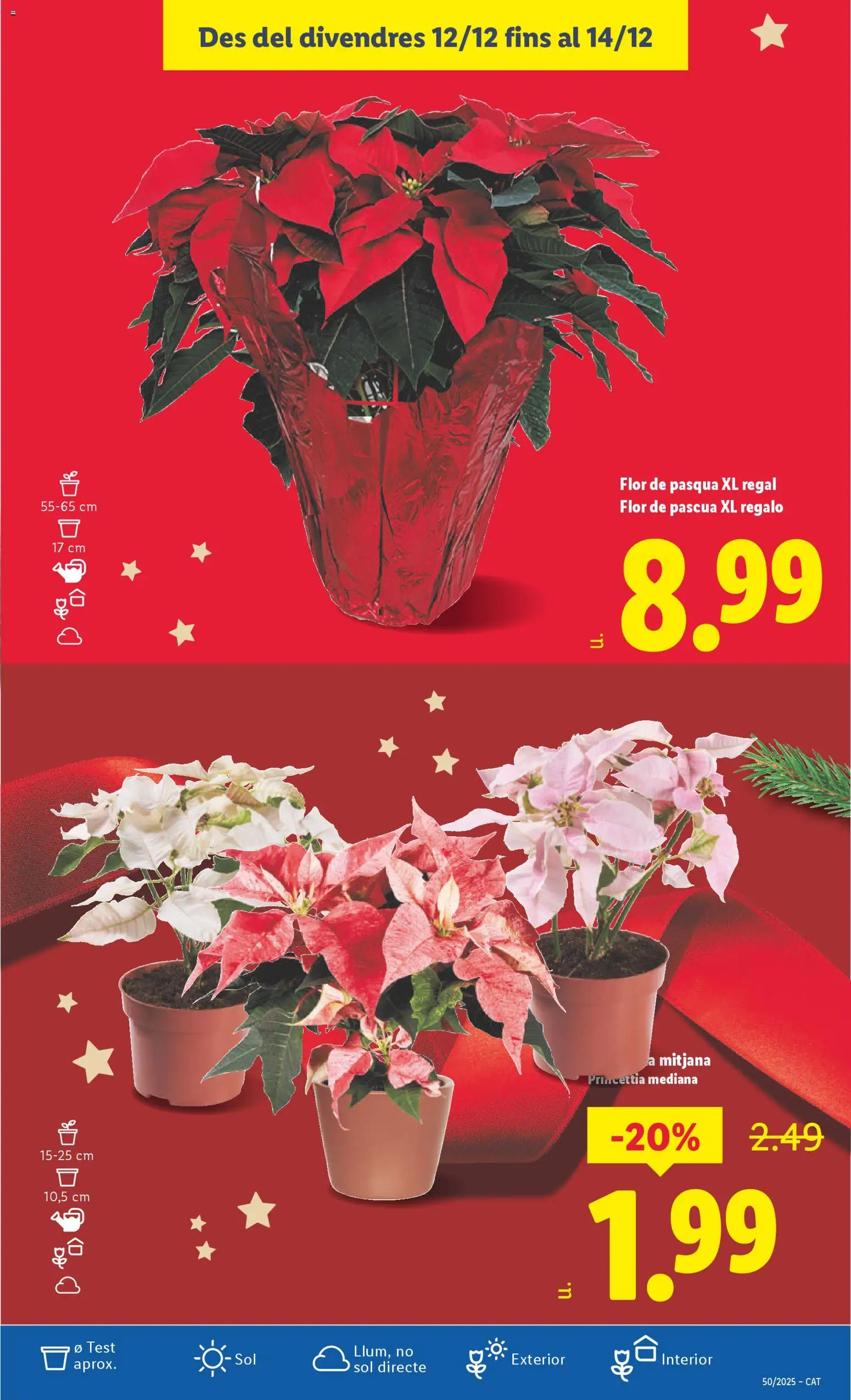 Lidl folleto │ válido desde el 08.12.2025 | Página: 53