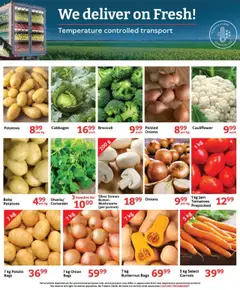 Oxford Freshmarket Specials │ valid from 13.08.2025 | Page: 7