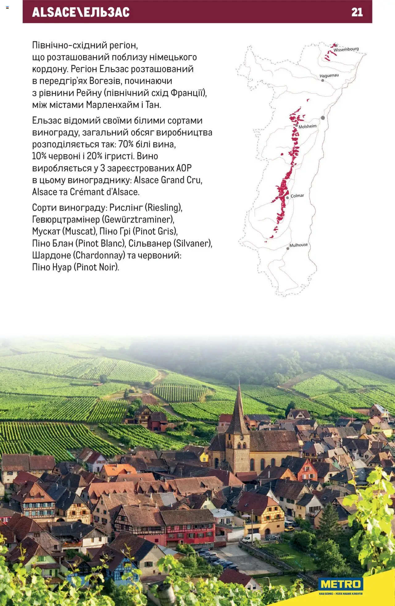 Metro Kаталог - дійснийкції з 01.07.2025 | Сторінка: 21 | Товари: Вино