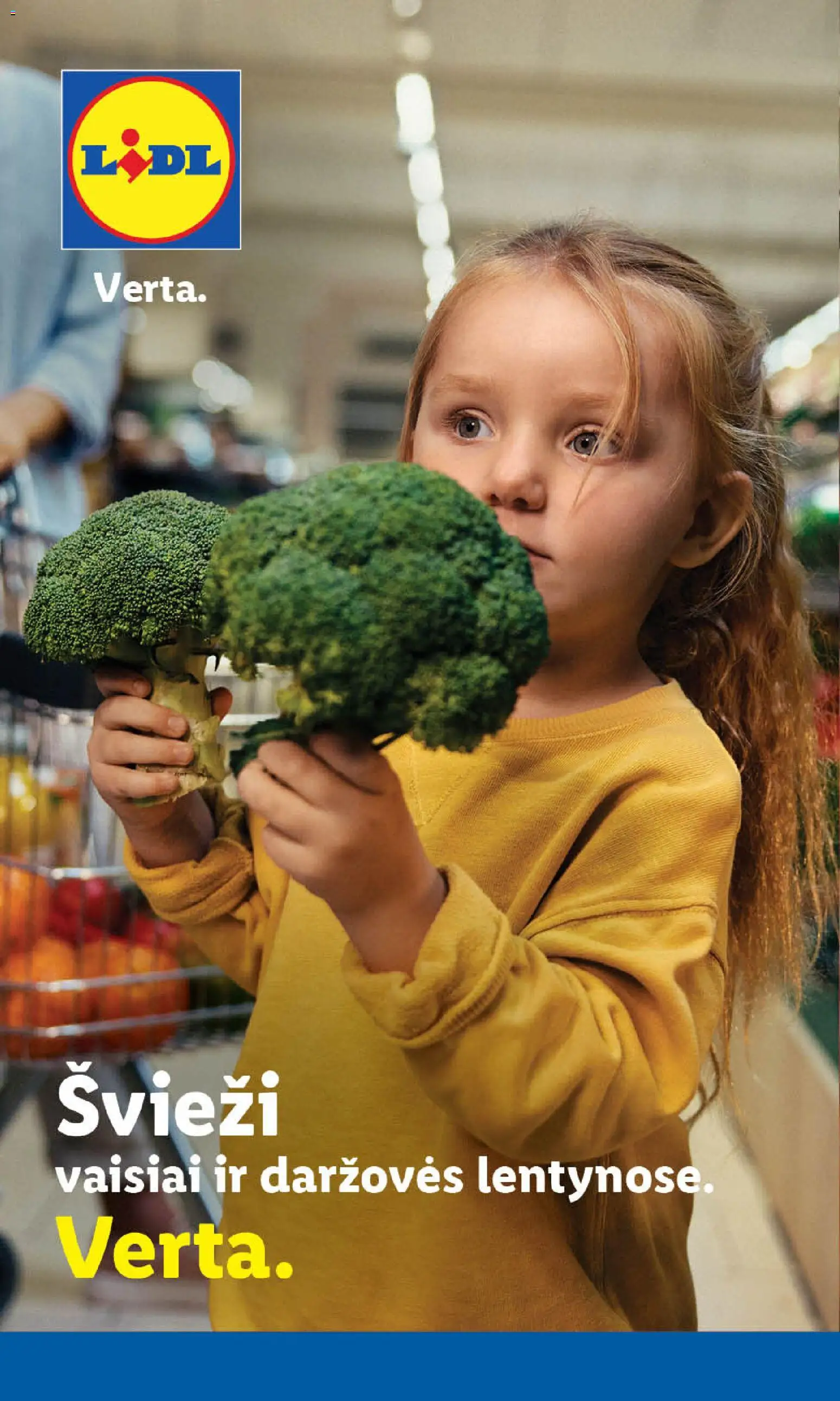 LIDL akcijos nuo 12.01.2026 | Puslapis: 7