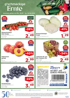 Unimarkt Süd gültig ab 30.07.2025 | Seite: 14 | Produkte: Obst, Kraut