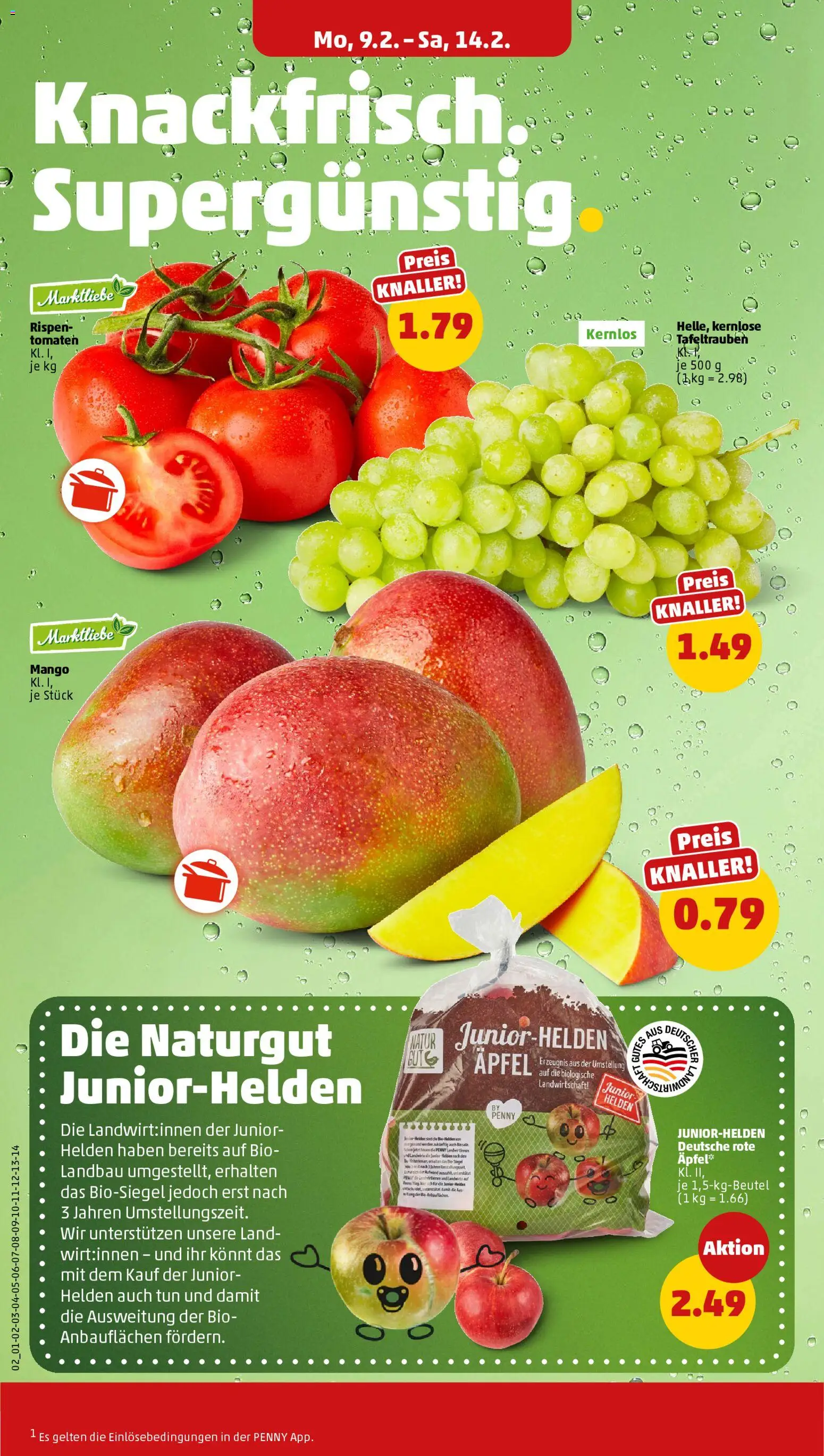 Penny Prospekt 	 – gültig ab 09.02.2026 | Seite: 6