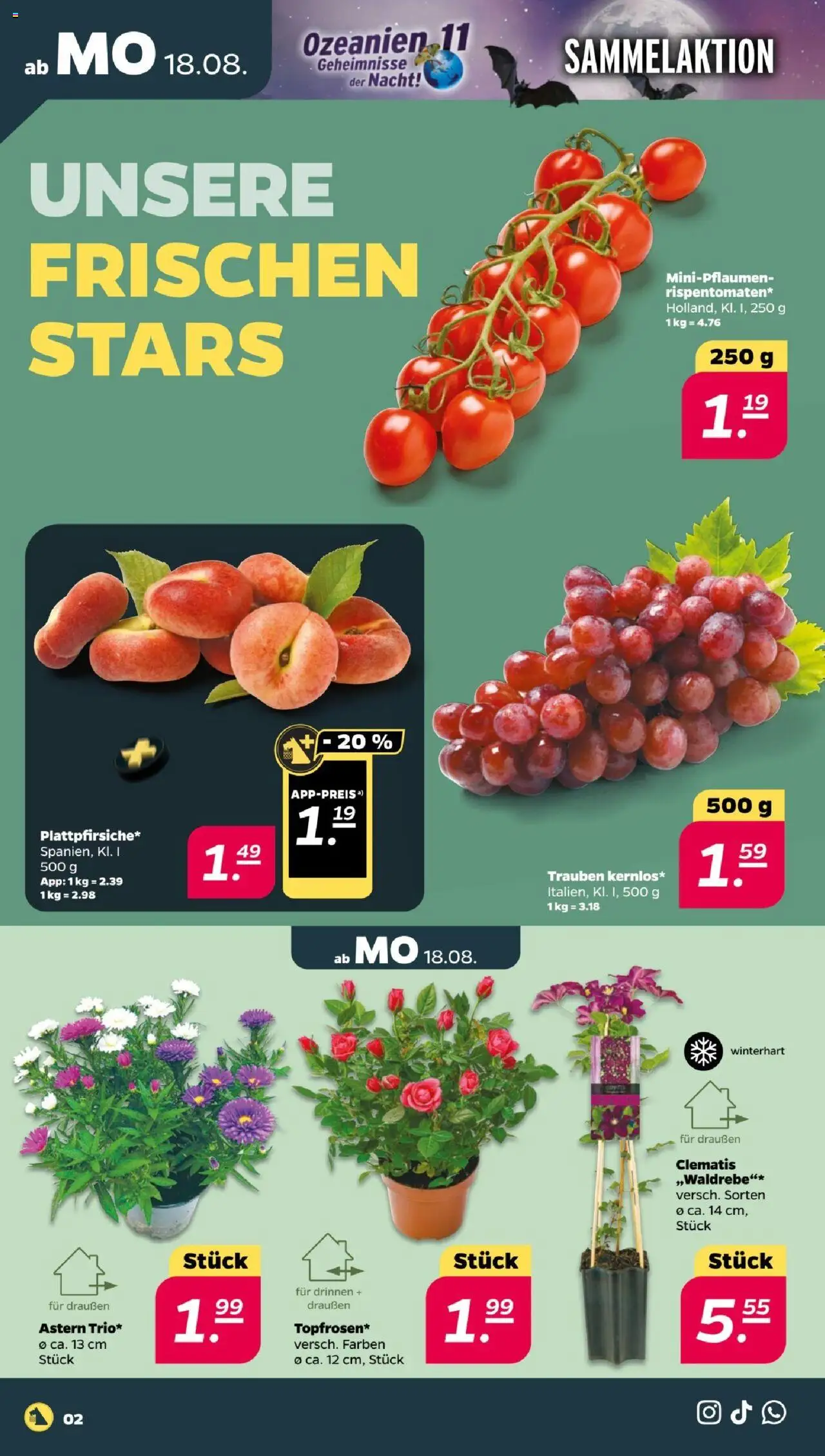 Netto Prospekt 	 - gültig ab dem 18.08.2025 | Seite: 2 | Produkte: Trauben