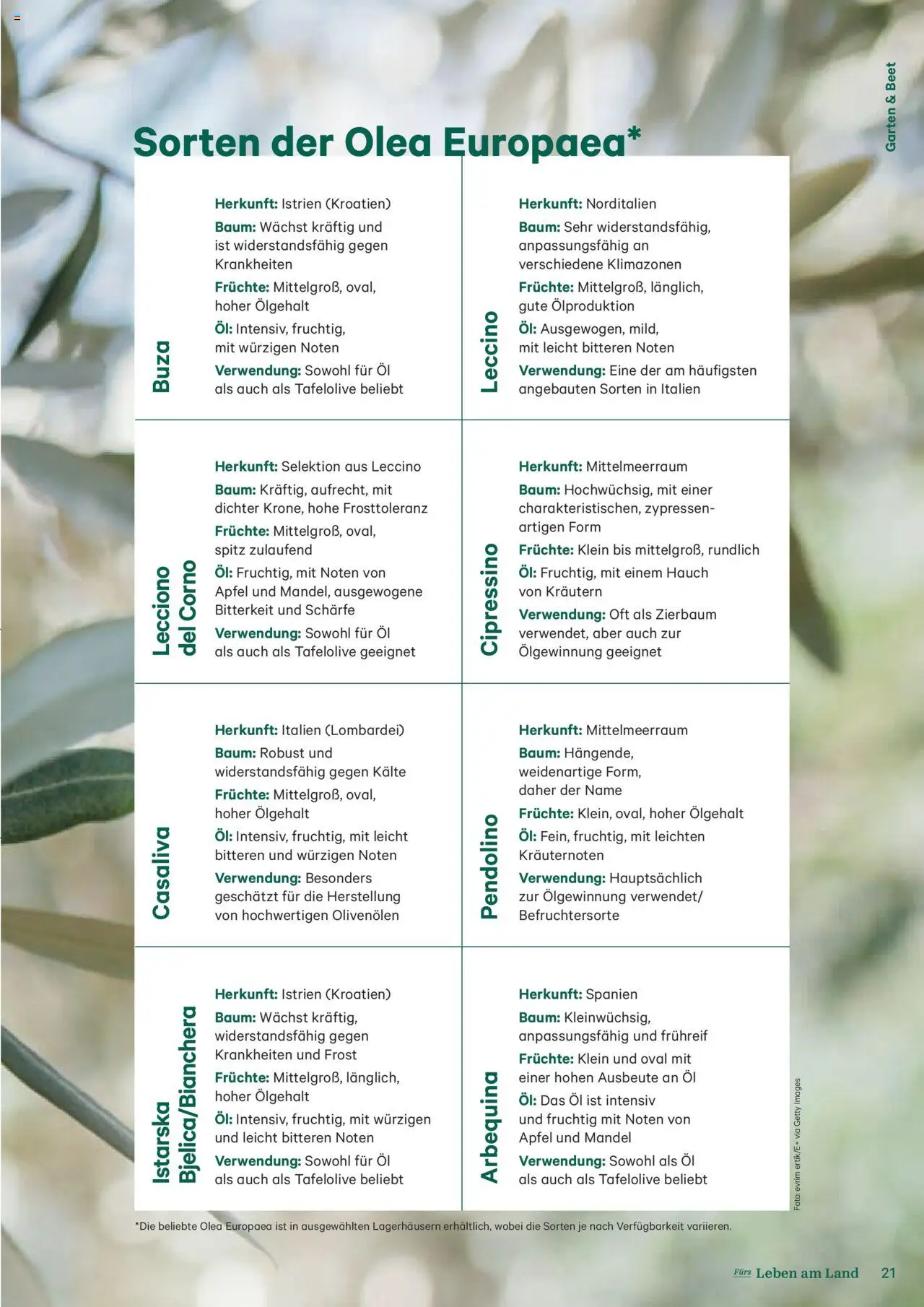 Lagerhaus Fürs Leben am Land Magazin gültig ab 28.04.2025 | Seite: 21 | Produkte: Öl, Äpfel