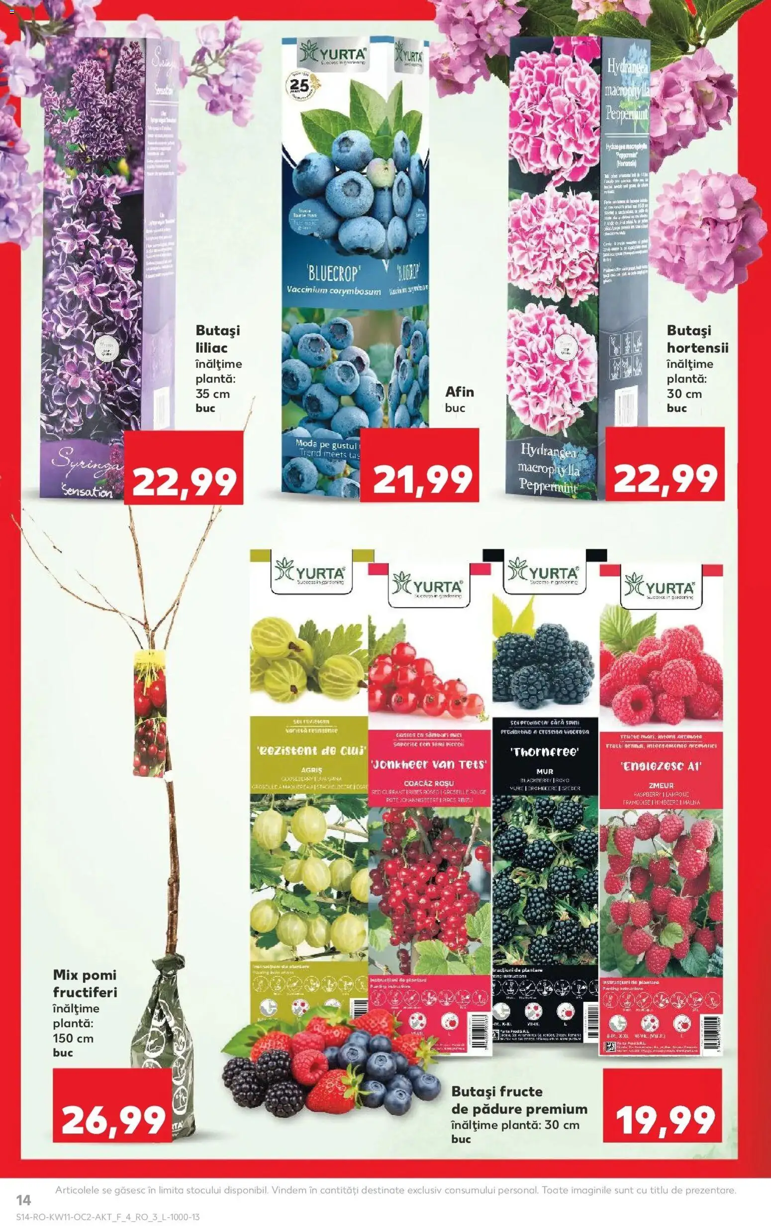 Noul catalog Kaufland – valabil de la 11.03.2026 | Pagină: 14 | Produse: Fructe