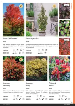 Náhled letáku Starkl katalog od 25.02.2026 | Strana: 39