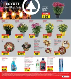 Interspar Akciós újság - amely érvényes a következő dátumtól: 24.10.2025 | Oldal: 16 | Termékek: Szőlő, Művirág, Koszorú